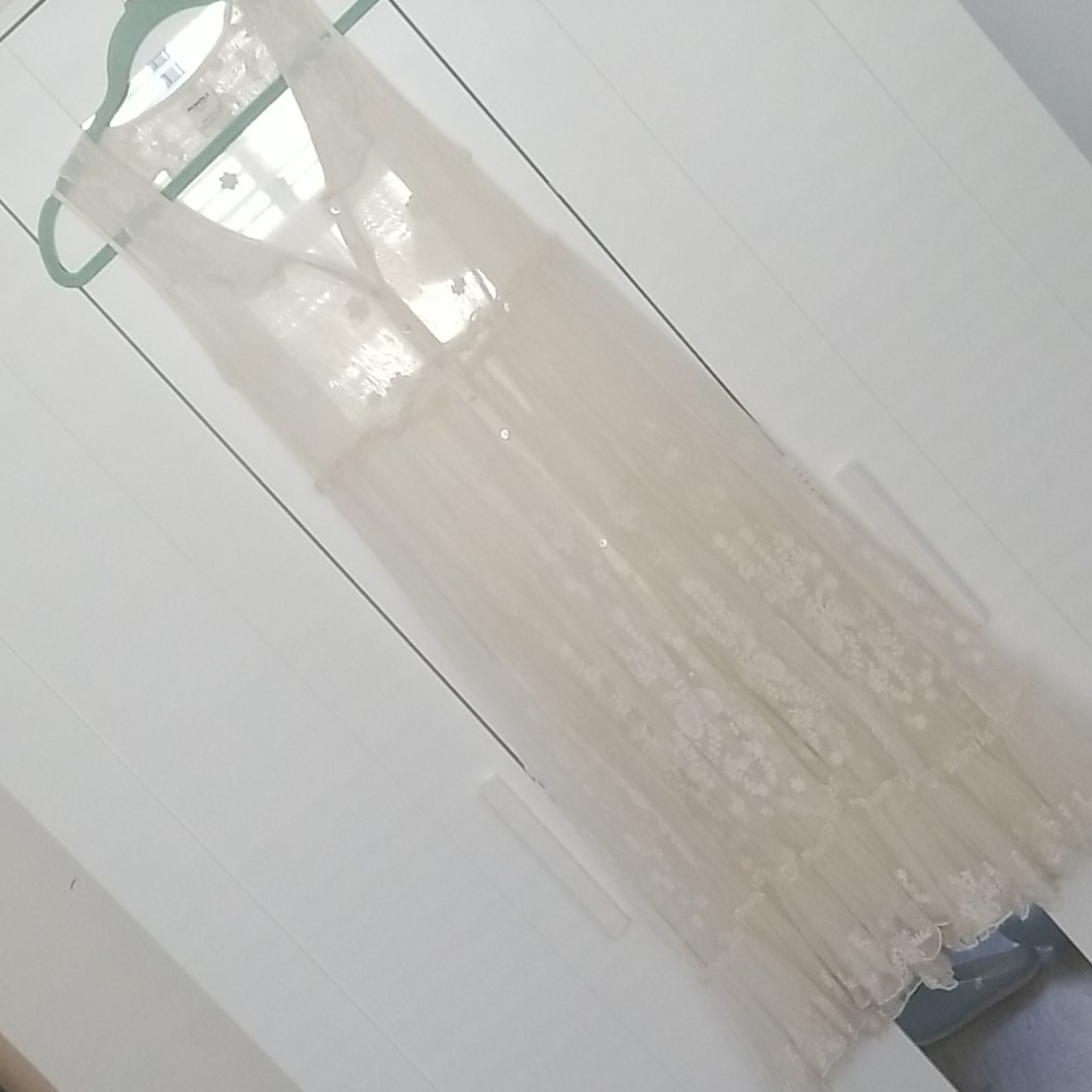 Intametely  free people sheer lace bress